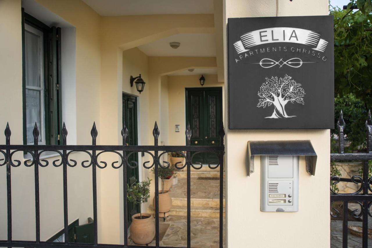 דלפי Elia Apartments Chrisso מראה חיצוני תמונה